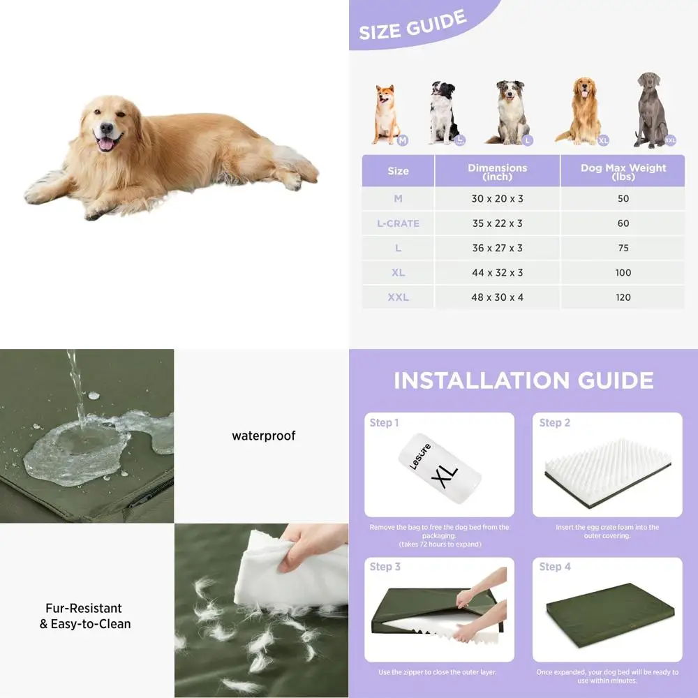 

XL Orthopedic Egg Crate Dog Bed with Removable Washable Cover, 44x32 Inches, Green