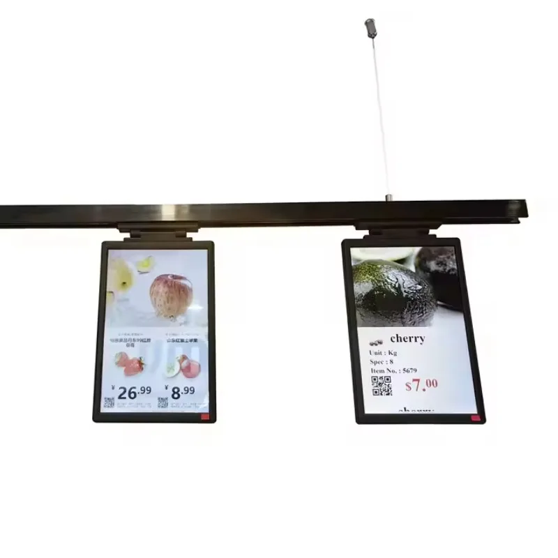 10.1 inch Lcd Display Screen Digital Smart Price Tag Wireless Electronics Shelf Label Esl E-Ink Display Price Label Supermarket