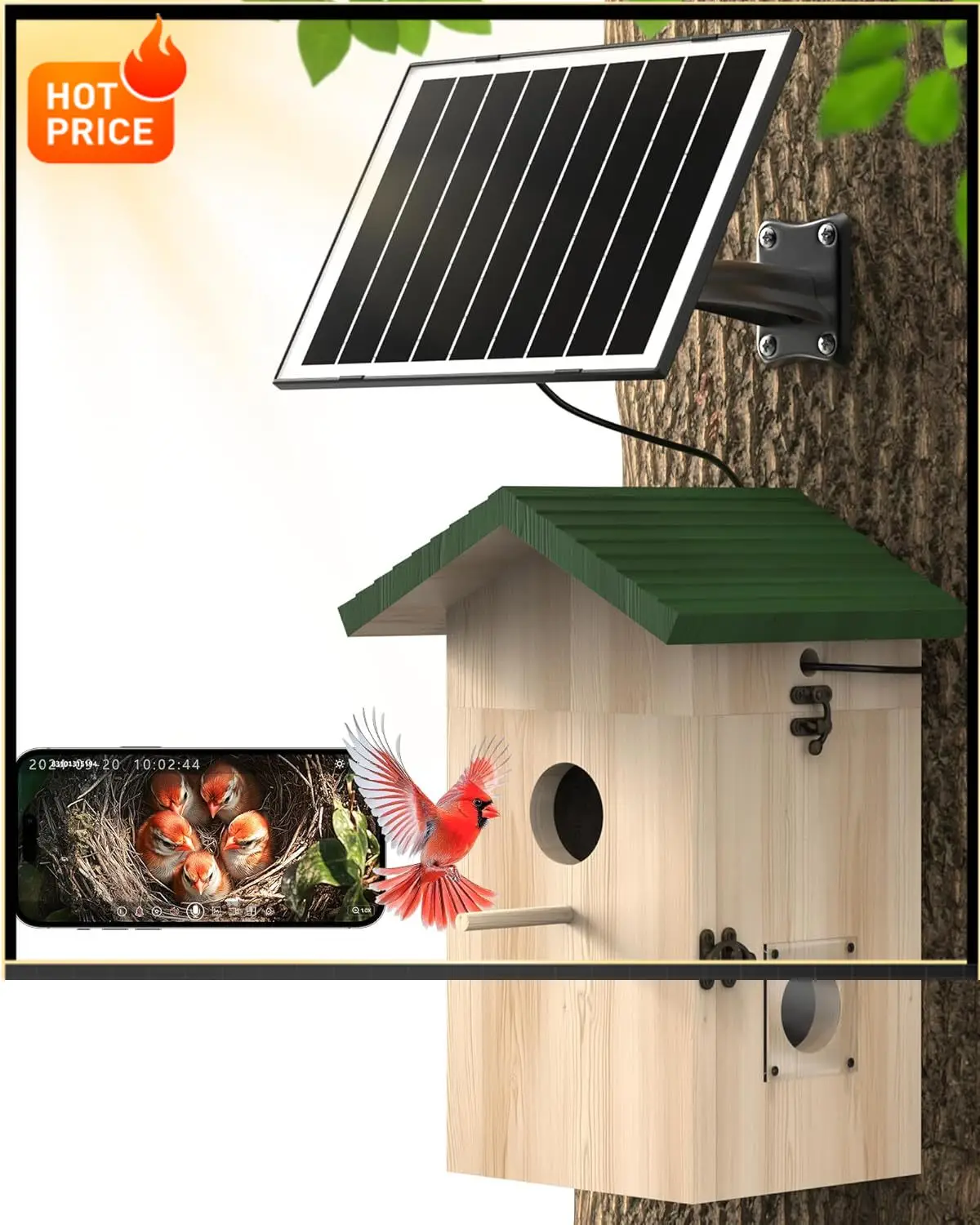 

Бестселлер: Камера для птичьего домика на солнечной энергии, 2K HD Wi-Fi камера для наблюдения за птицами, автоматическое обнаружение и оповещение, ночное видение