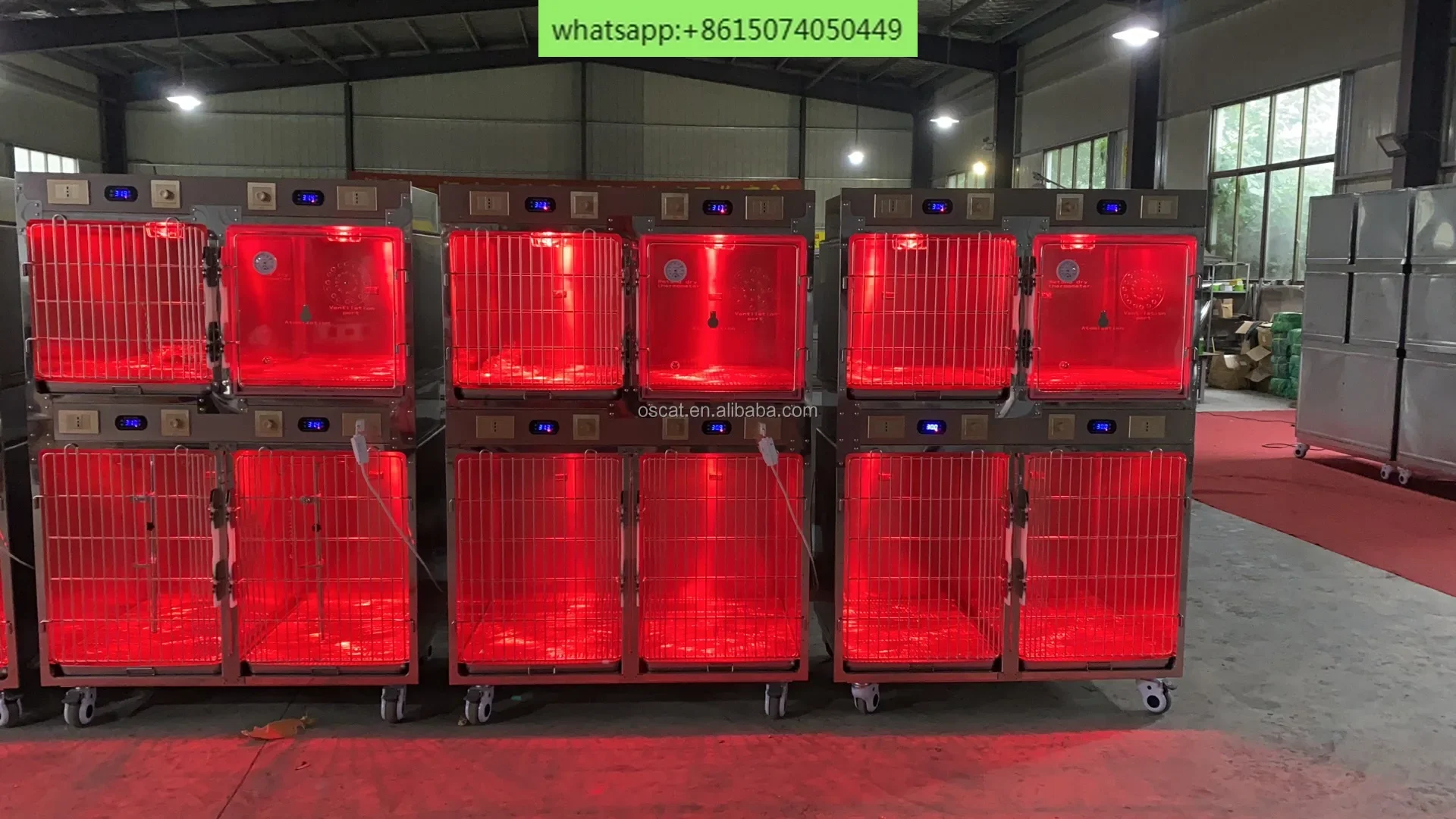 Veterinary Pet Intensive Care Unit Cage Animal Pet with Temperature Control and Oxygen