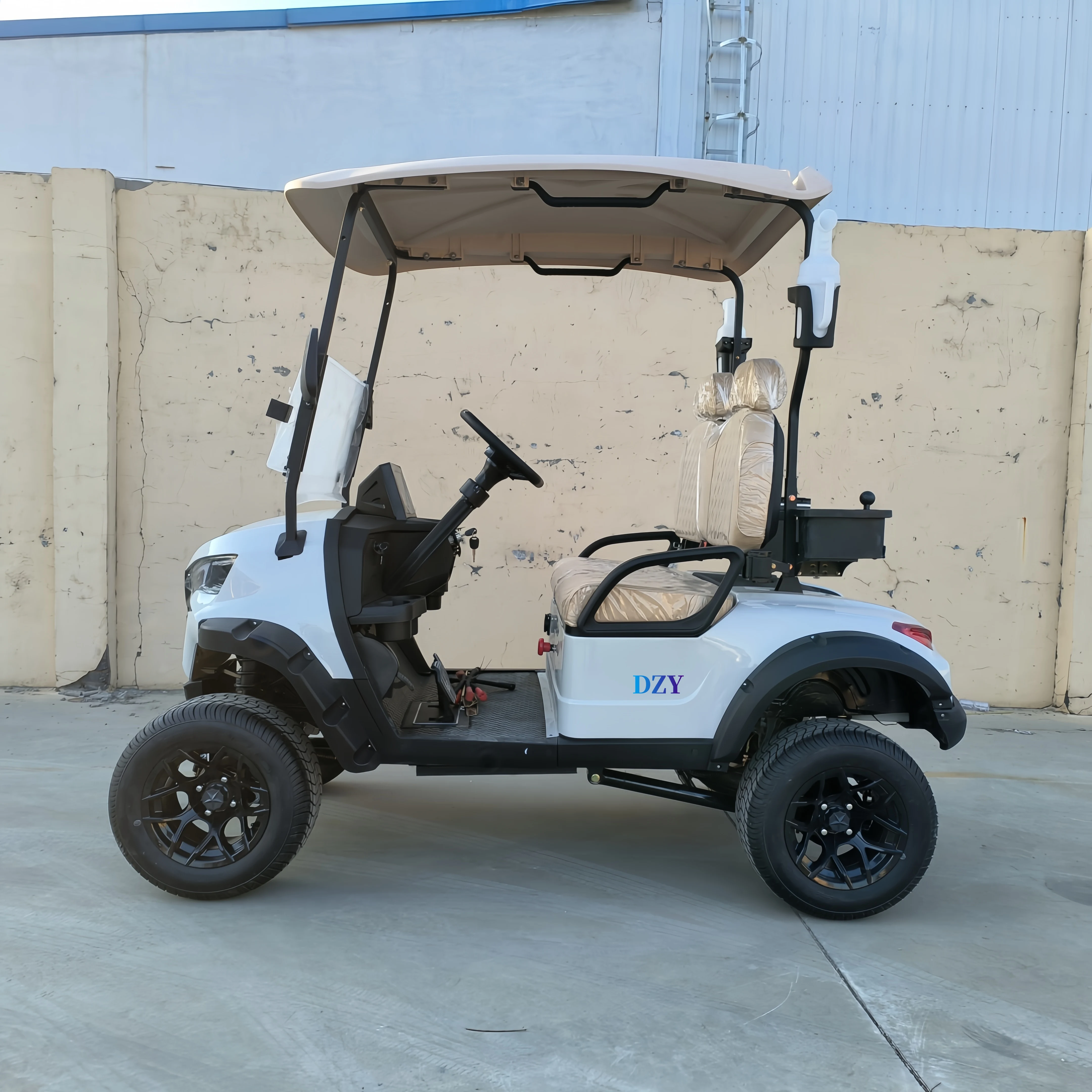 Lithium Battery Powered Mini Electric Golf Cart 4X4 CE Approved One Person Golf Cart