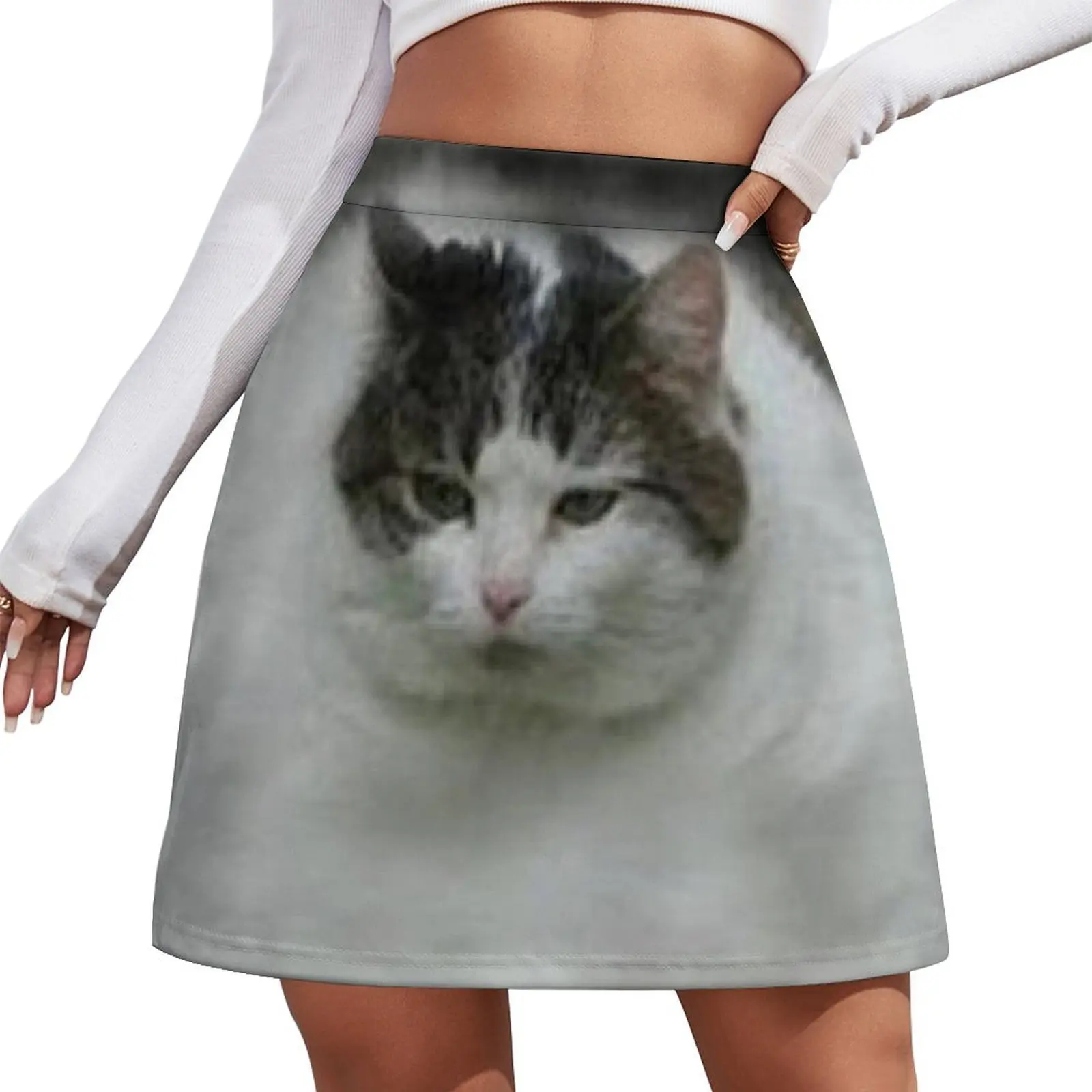

Fat cat Mini Skirt summer dress women 2026 kawaii clothes Short skirts womens skirts