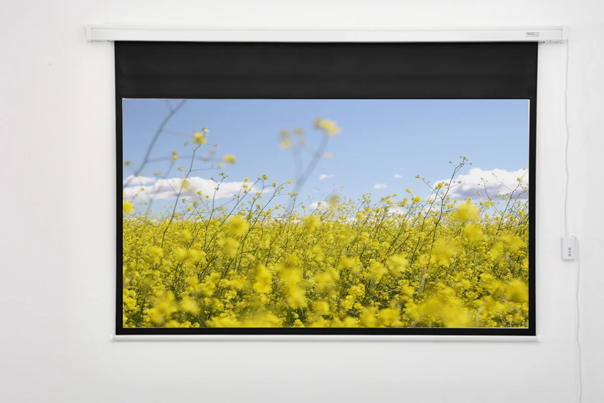 Fiberglass projector screen, 72-inch vivid projector screen, home electric projector screen