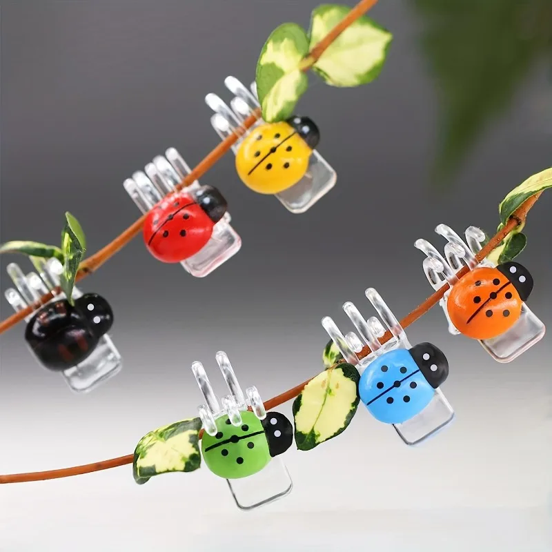 6pcs Colorful Ladybug Orchid Clips-Versatile Support for Climbing Plants,Vines&Orchids,Assorted Colors with Transparent Suction