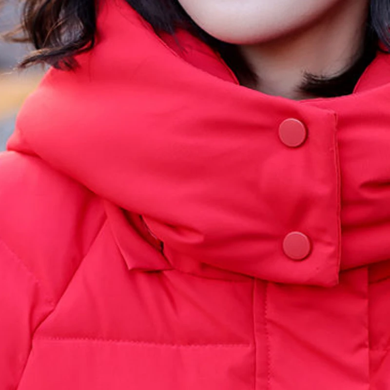 2023 New Women Down Cotton Coat Winter Jacket Female Shortage of Money Parkas Hot Cake Loose Outwear Keep Warm Overcoat
