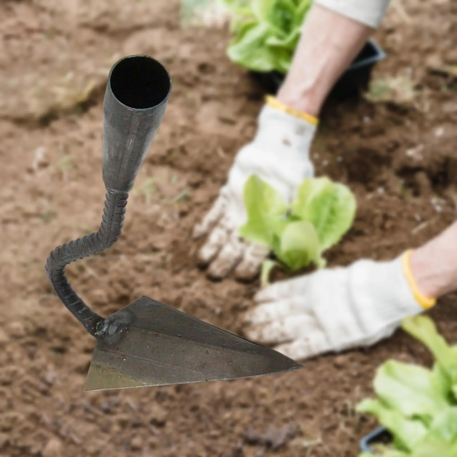 Hardened Garden Swoe Hoe Head Only Forging Process Traditional for Backyard Planting Farming Gardening Loosening