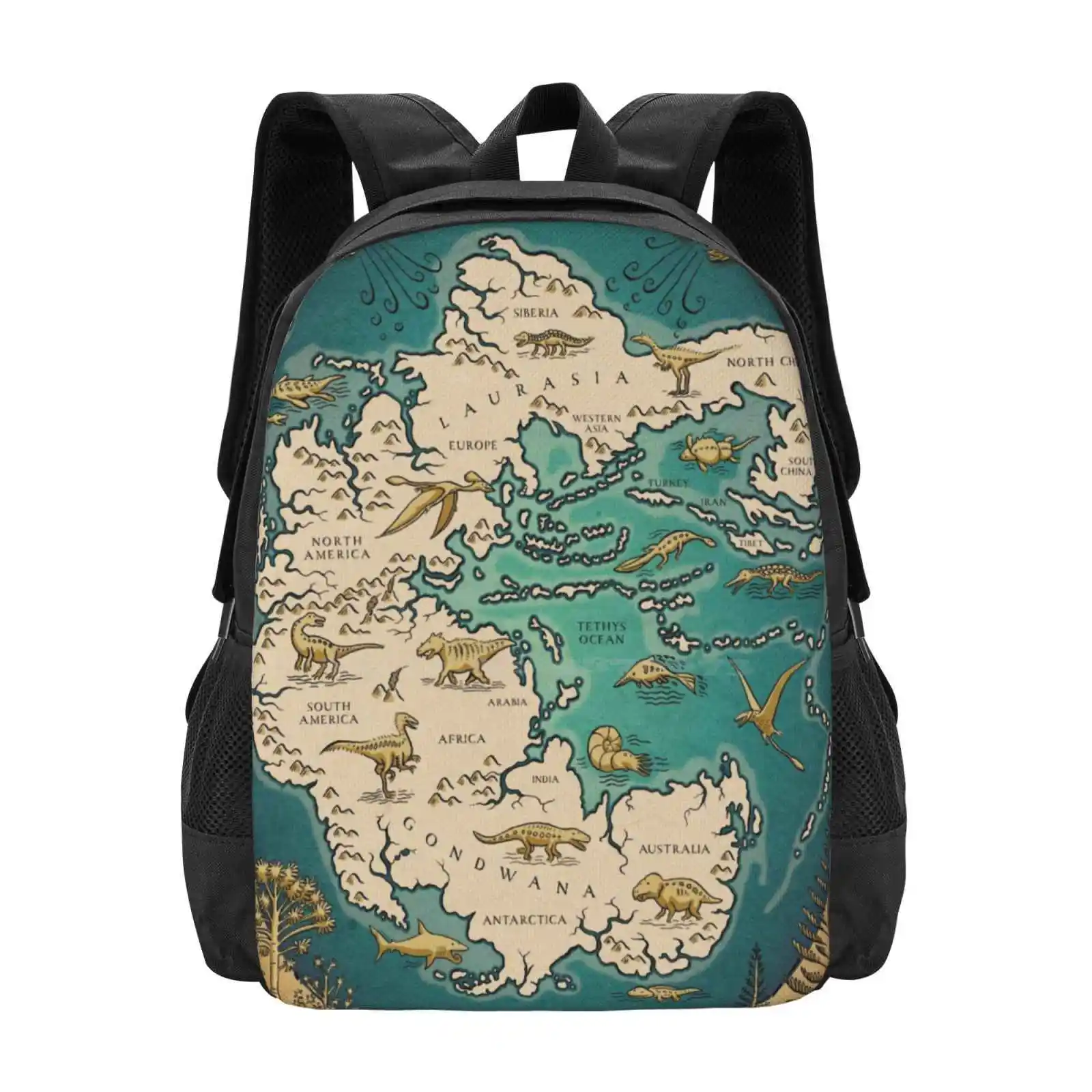 Map Of The Supercontinent Pangaea Hot Sale Schoolbag Backpack Fashion Bags Map Chart Pangaea Pangea History Prehistoric