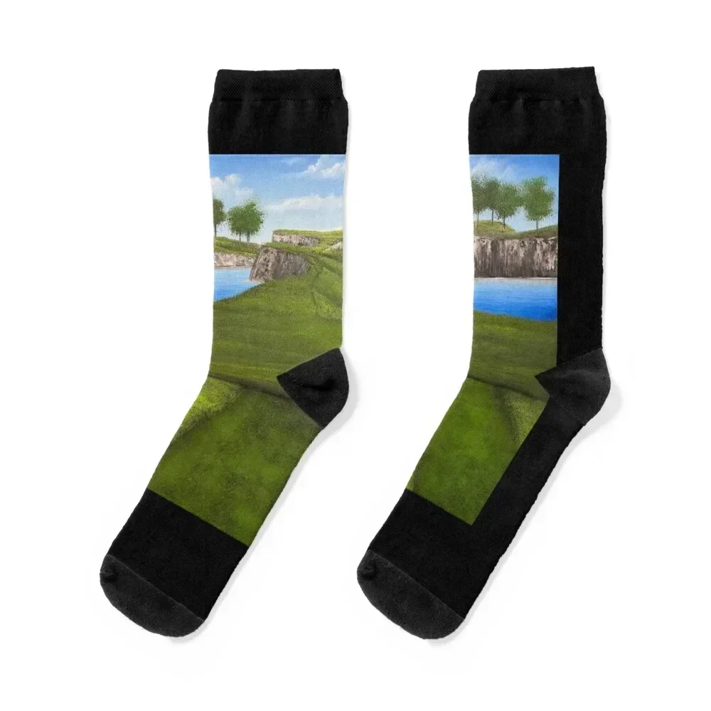 جوارب We Golf Socks الرائعة للتدفئة، هدايا فضفاضة للرجال، جوارب نسائية