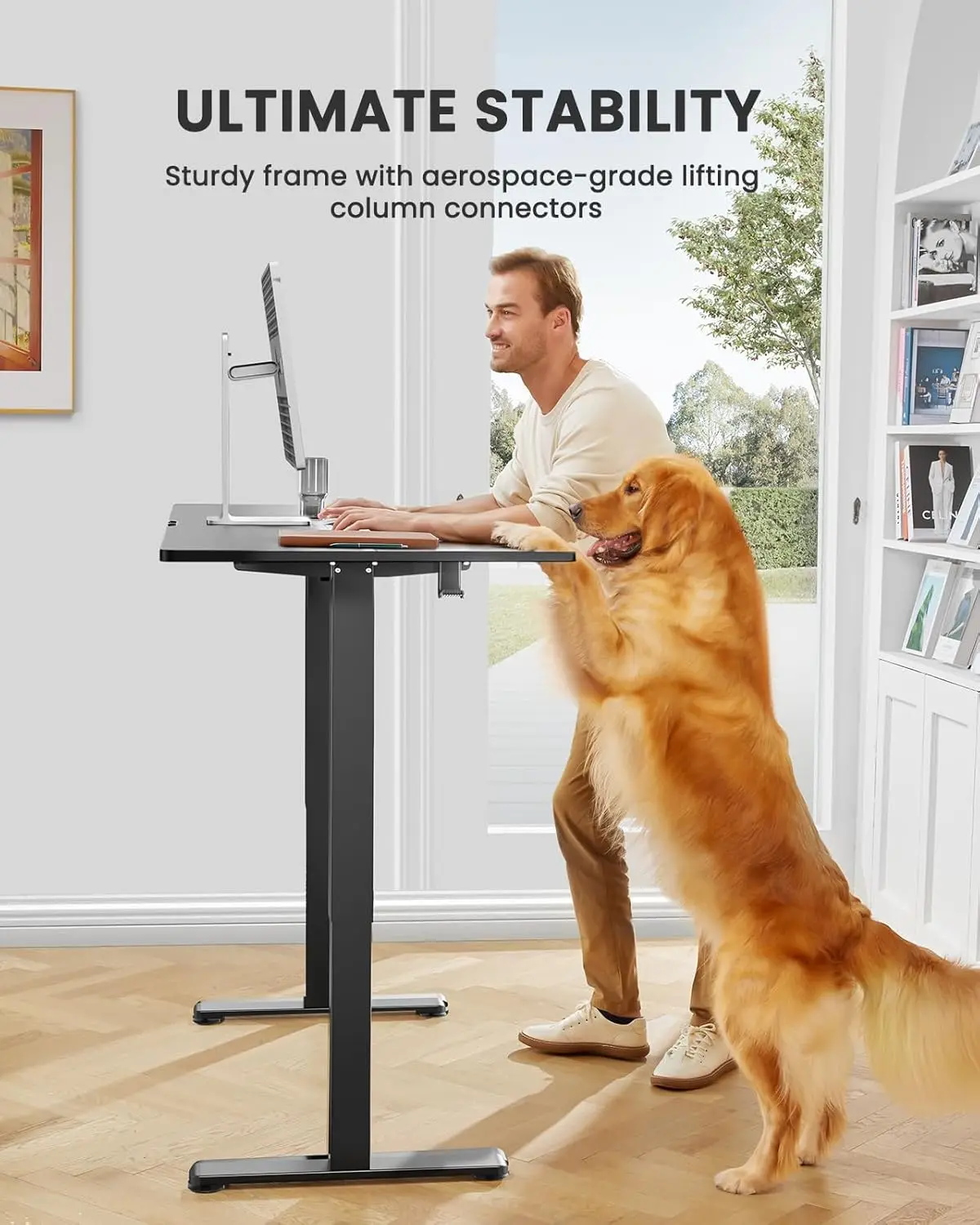 Height Adjustable Electric Standing Desk, 48 x 24 Inches Sit Stand up Desk, Memory Computer Home Office Desk (Black)