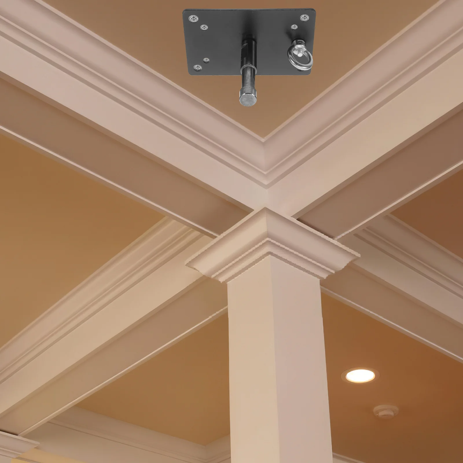 

Ceiling Mount For Lights Heavy Duty Stainless Steel Softbox Wall Film Photography Lighting Equipment Space