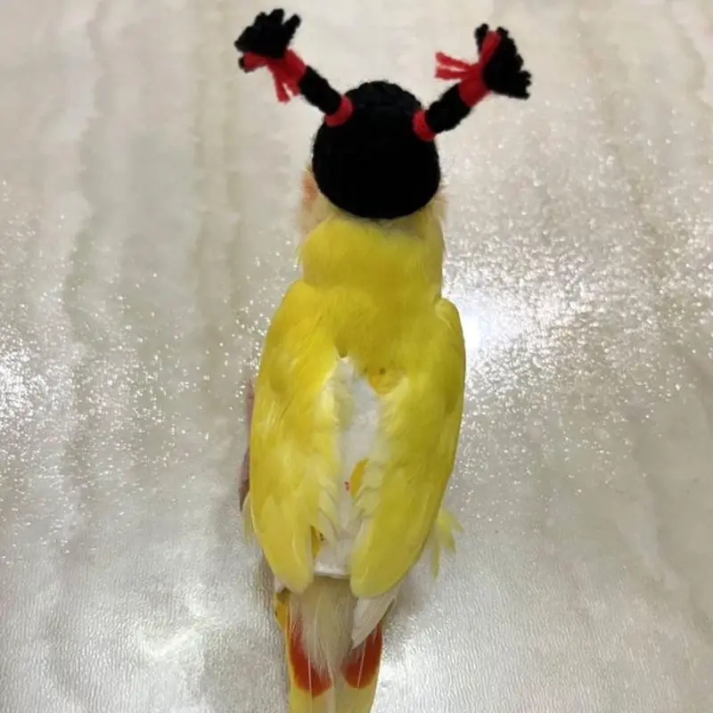 U6XC Bird Hats Fun Costum