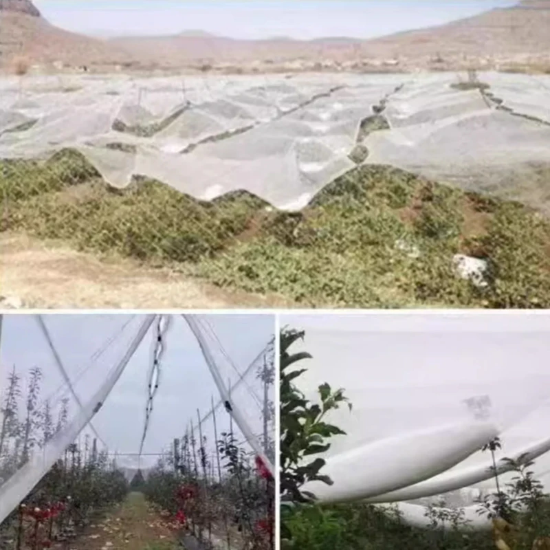 Thumbnail 4 - #2 Compare Cat Safety Window Nets Before You Buy