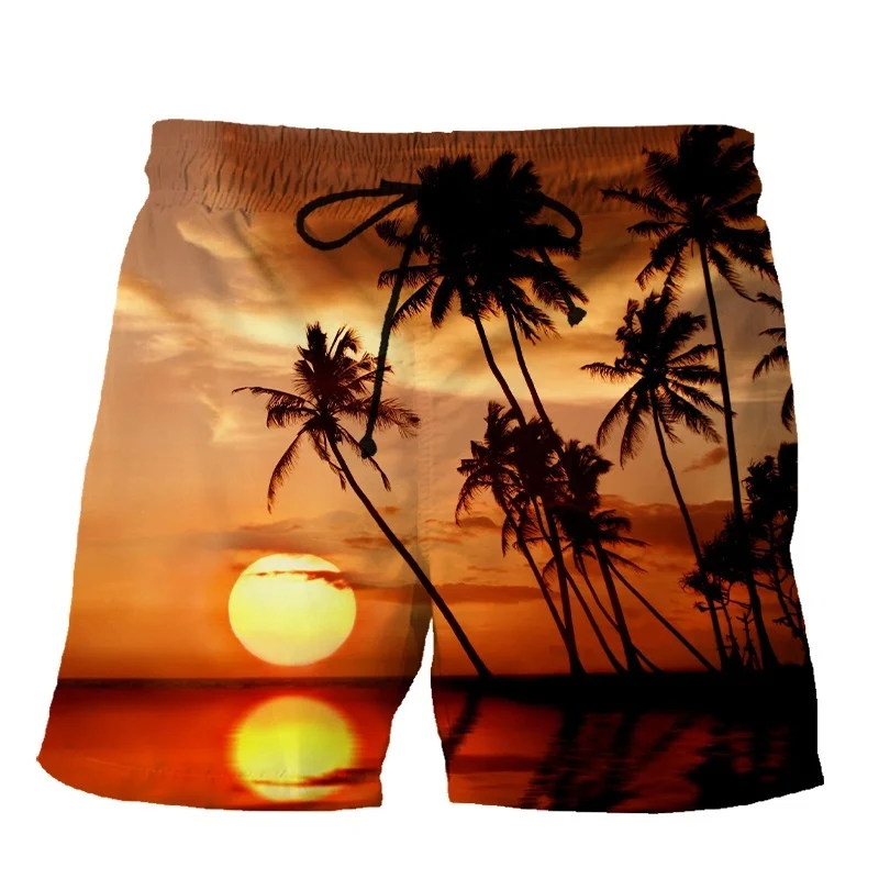 Pantalones cortos de playa para hombre y niño, Shorts con estampado 3d de palmeras tropicales, mar, atardecer, vacaciones, tabla de Surf de secado rápido, ropa de calle de verano