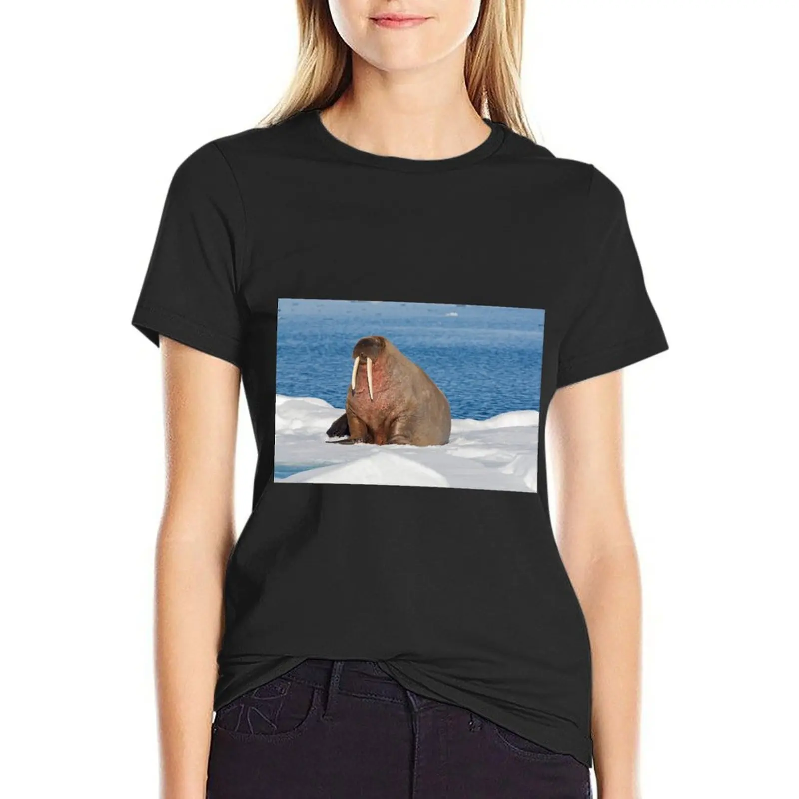 

Walrus on pack ice T-Shirt sweat vintage vintage clothes kawaii clothes t shirts for Women graphic