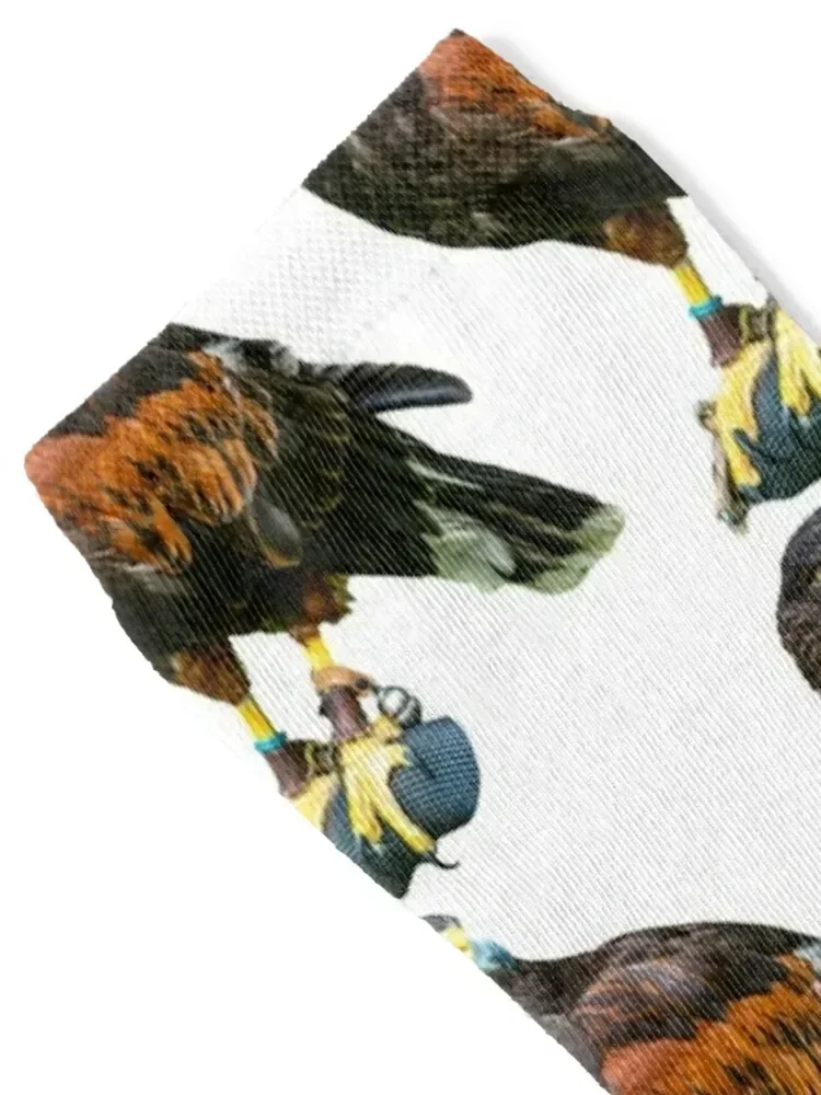 Harris Hawk on a bow perch Socks funny gift cute Socks Women's Men's