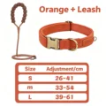 Orange Set