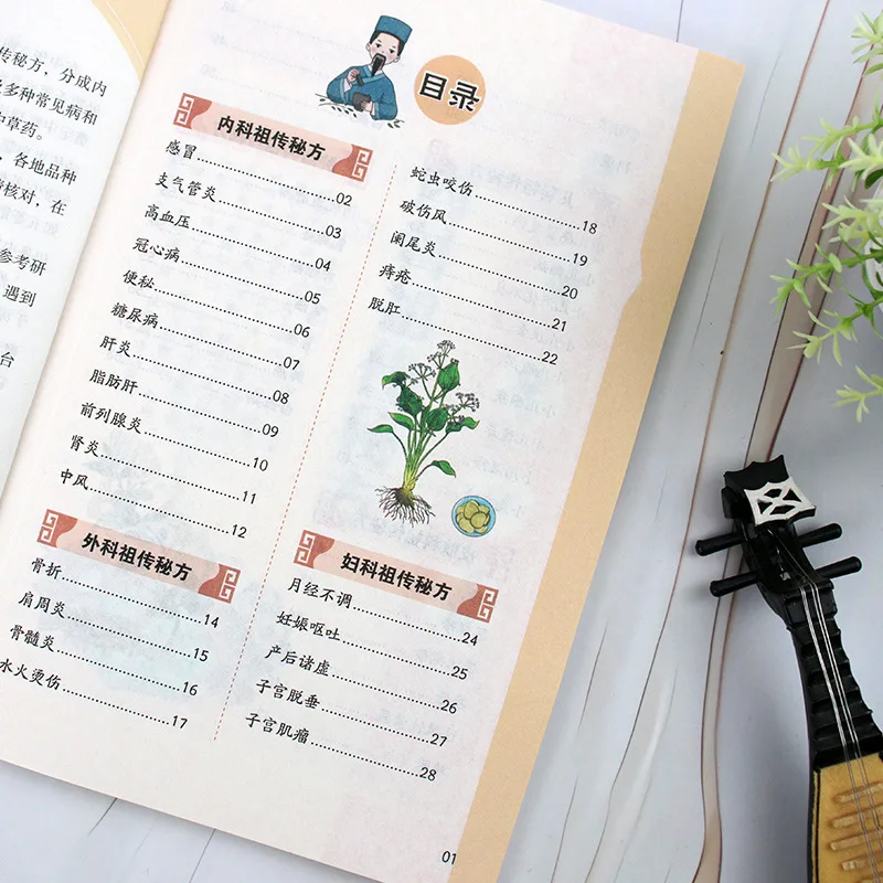 Traditional Folk Herbal Remedies Classical Combined Formulas with Pattern Differentiation Case Records Ancestral TCM Wisdom