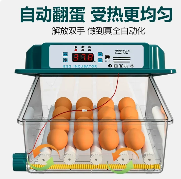 (Household/Farm Use) 16/36 Eggs Fully Automatic Incubator - Brooder with Turner for Chicken, Goose & Quail Eggs