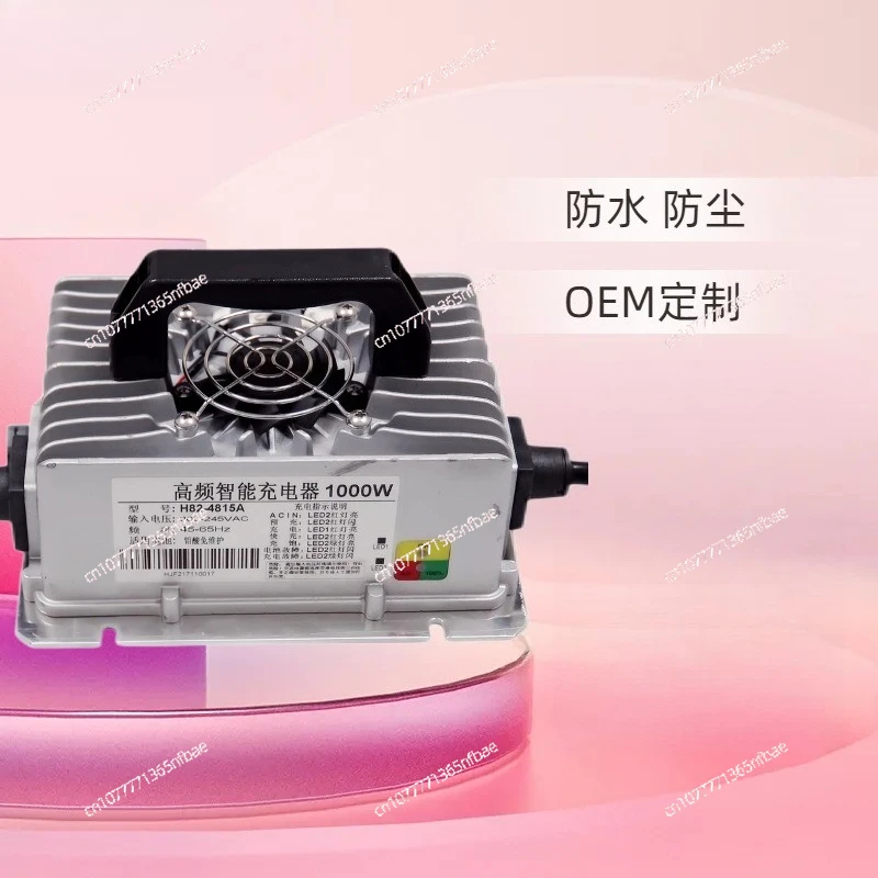 

48V Golf Cart Battery Charger - Customizable for Lithium & Lead-Acid, Also for Industrial Feeders