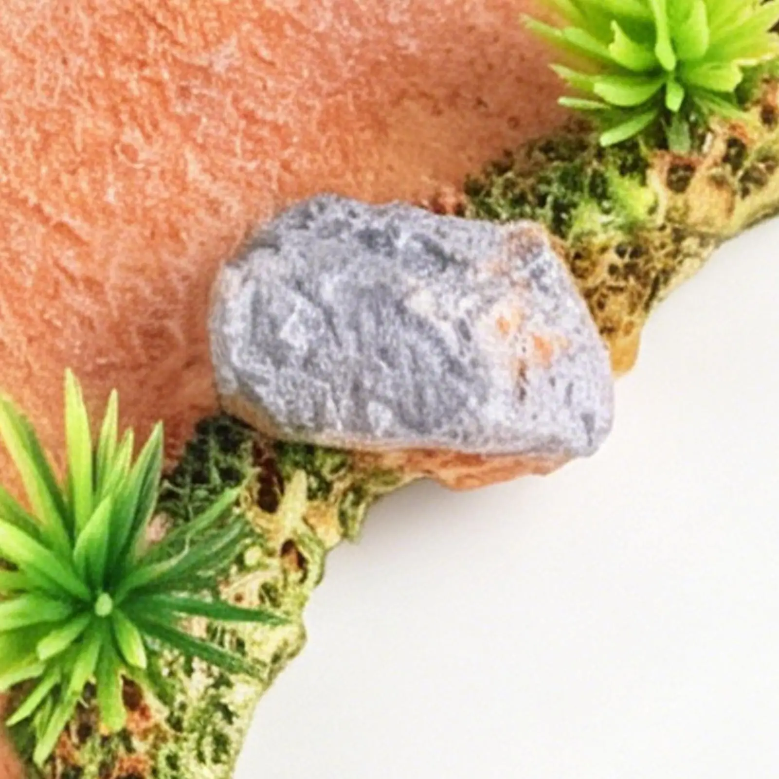 

Aquarium Path Decoration 3 Pieces Resin Realistic Sculpture Fish Tank Stone Ornament Pathway For Freshwater Saltwater Shrimp