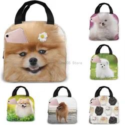 Bolsa de almuerzo con aislamiento para perros Pomerania, bolsa refrigeradora impermeable reutilizable, fiambrera para adolescentes y niñas, Picnic de viaje escolar