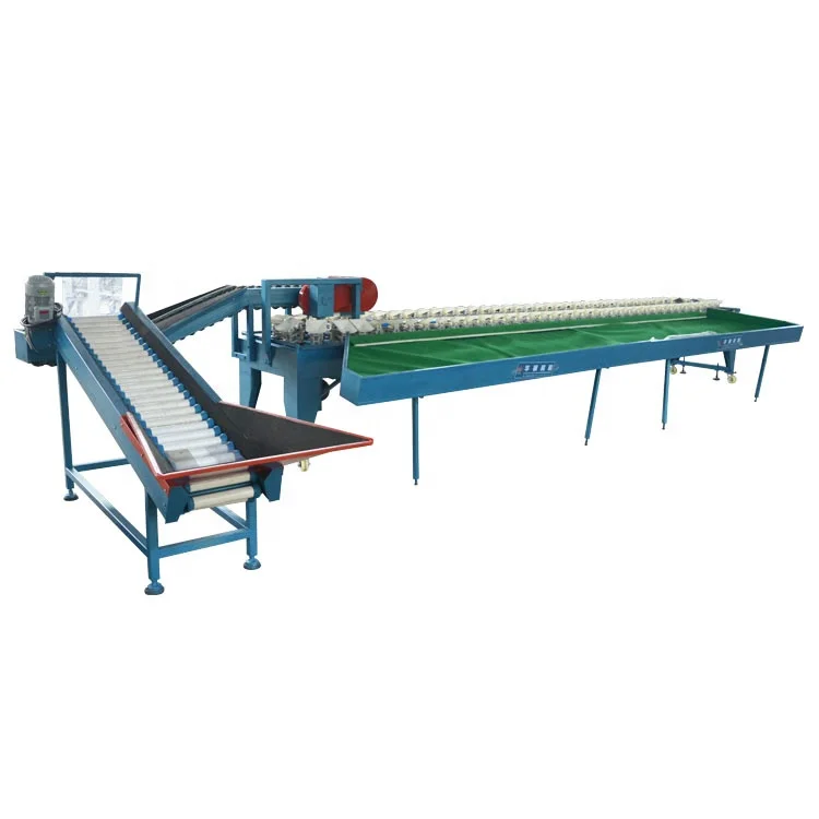 HUAGANG Stainless Steel Fruit & Vegetable Grading Sorting Machine with 9 Grades 7200 Pieces/H Capacity