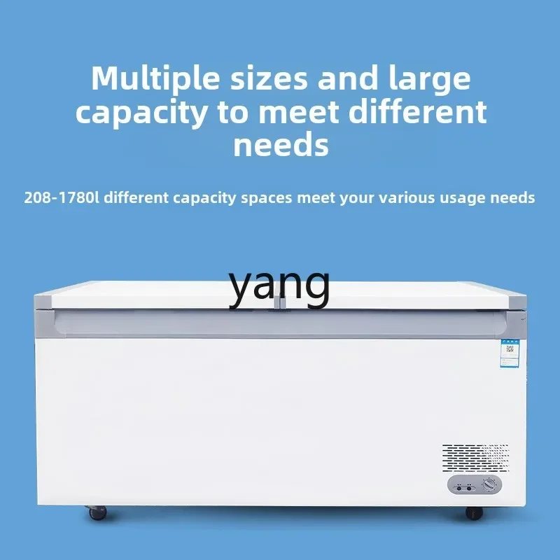 CX Commercial Capacity Horizontal Household Refrigerator Refrigerated Freezer Single and Double Temperature Freezer