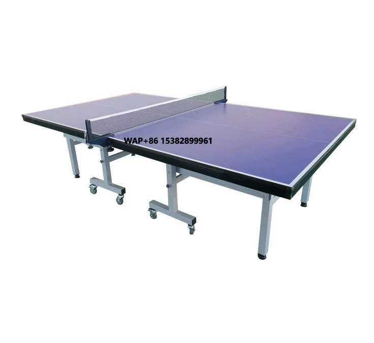 

Indoor Table Tennis Table From Top 10 Manufacturer