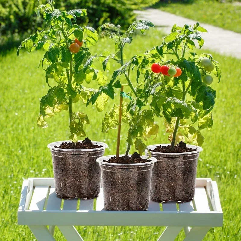 30Pcs Clear Nursery Pots S/M/L 10 Each + 40Pcs PJ069 Transparent Planters with Drainage Holes
