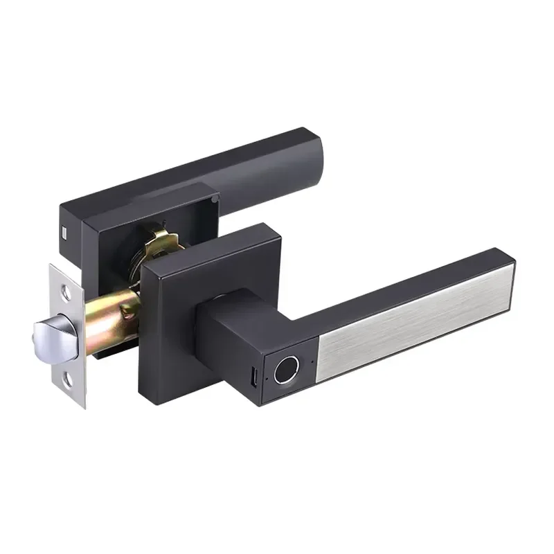 Smart Fingerprint Door Lock Electronic Keyless Entry Handle Modern Security System Easy Installation for Home Office