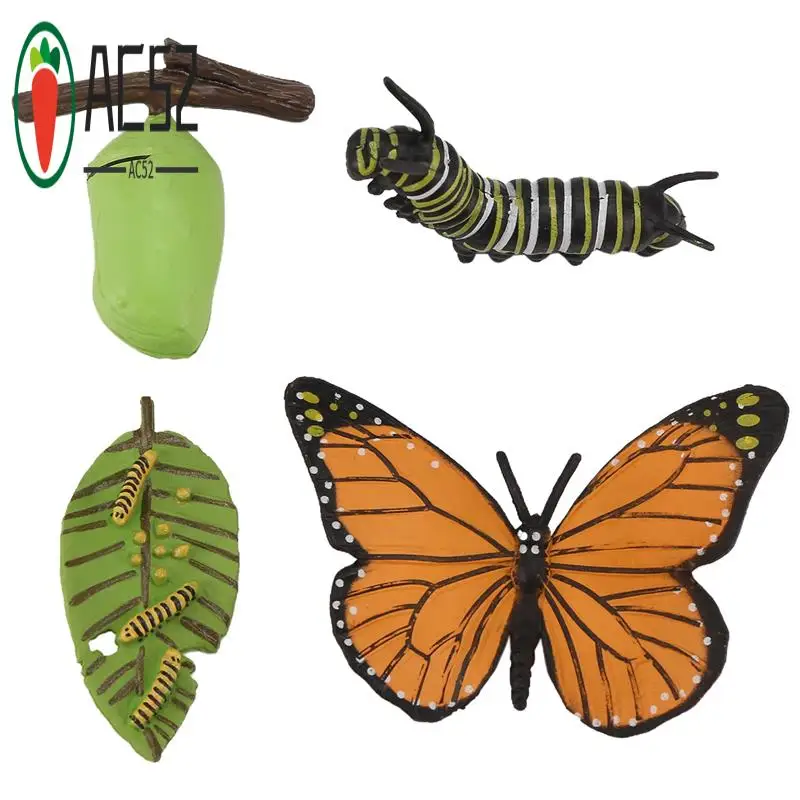 

AC52-Life Cycle Figurines Of Butterfly Spider Bee Ladybug Dragonfly, Plastic Insect Bug Figures Toy, School Project For Kids