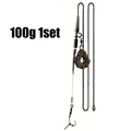 100g 1set