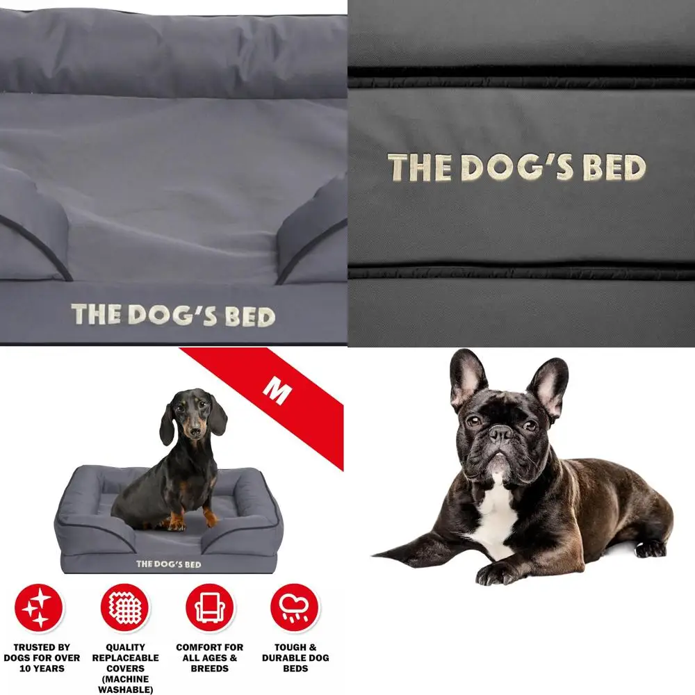 

Orthopedic Medium Grey Dog Bed with Black Trim, Waterproof and Vet-Approved, Standard Support