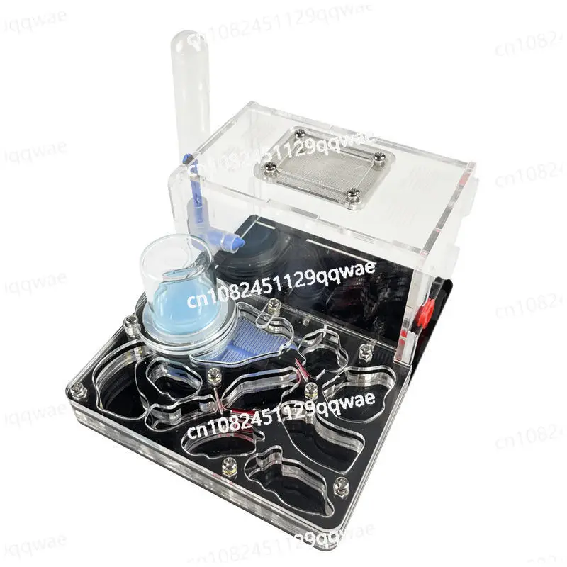 Acrylic ant creature ant nest worker record plane water device farm observation square ant feeding nest