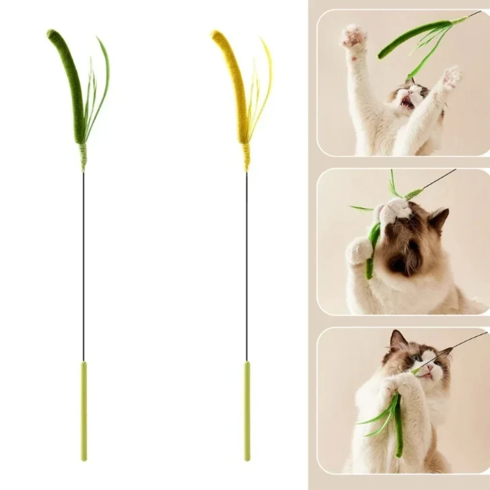 Cat Dog Tail Grass Dog Sage Feather Long Pole Cat Teasing Stick Bite Resistant Self Soothing Tool Cat Interactive Toy Supplies