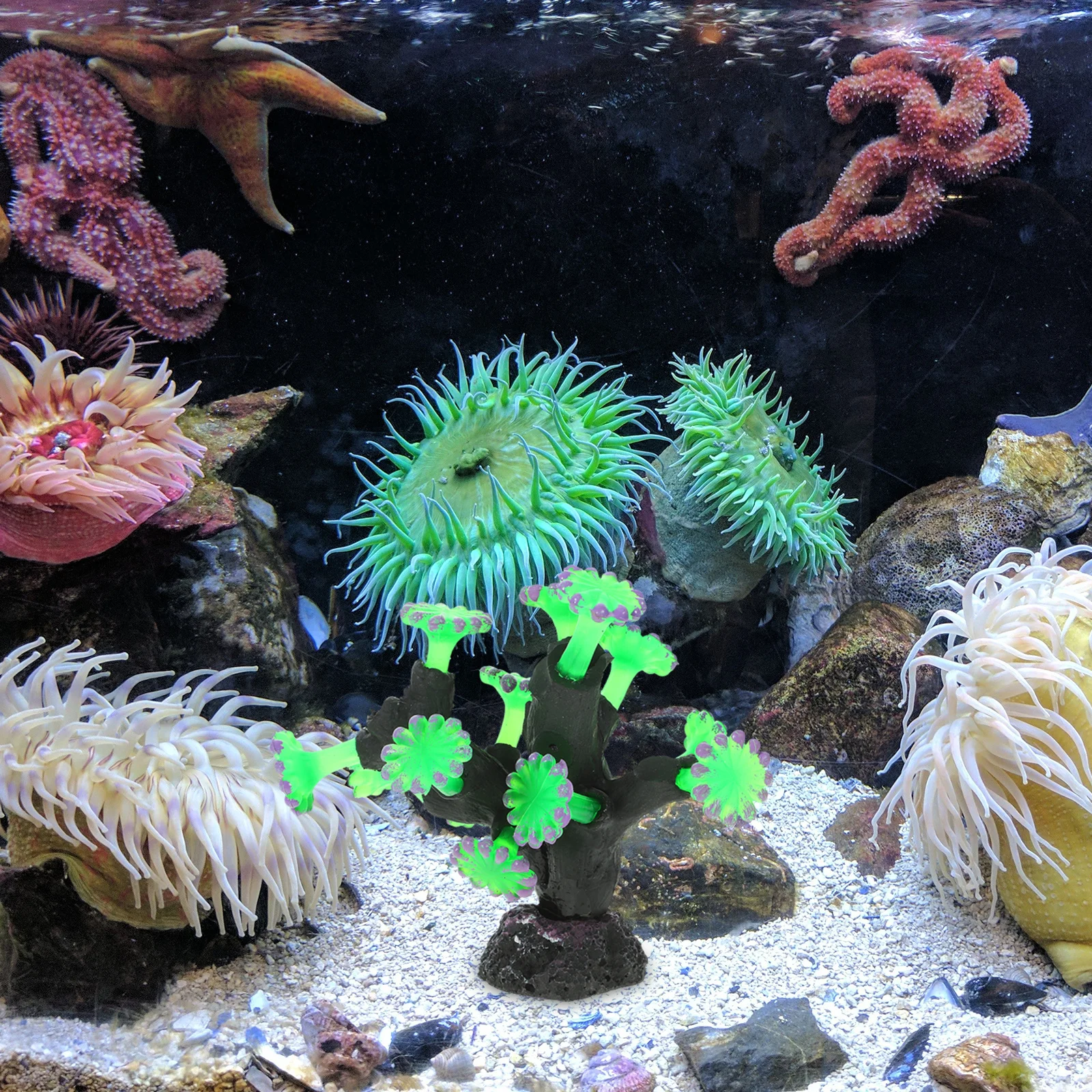 

Aquarium Simulated Fish Tank Ornament Fake Simulation Fake Ornament Coral Coral Decor Vivid Fish Tank Decoration