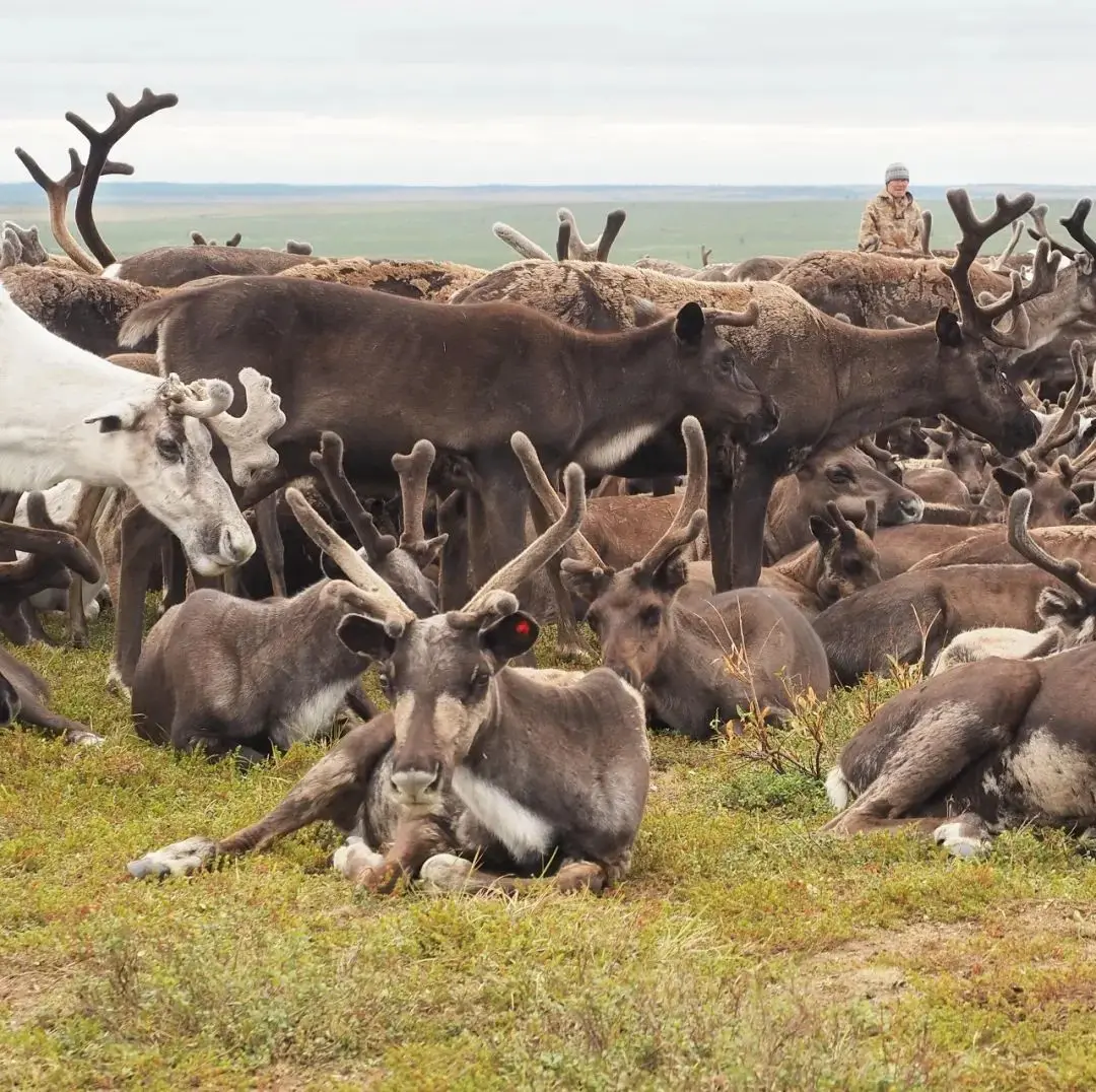 

1/10 RC Racing Wheels & Tires Set - 12mm Hex Metal Rims for Tamiya TT01/TT02/XV01, HSP, HPI, Kyosho - On-Road Car Upgrade