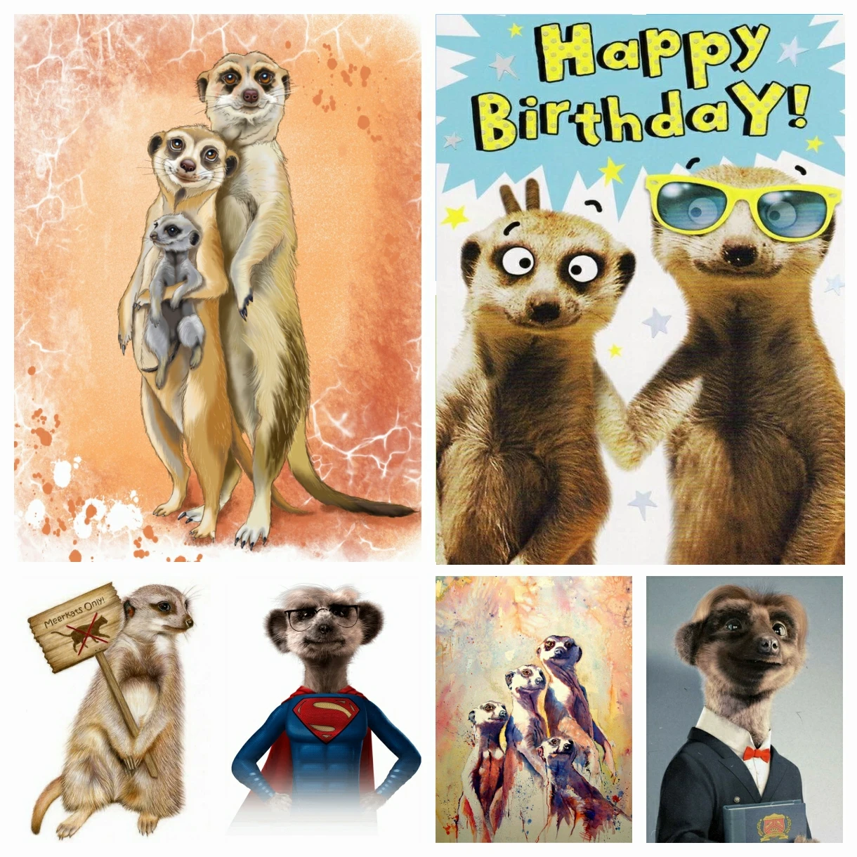 

Cute Meerkat 5D DIY Diamond Painting Embroidery Mosaic Animal Cartoon Art Rhinestones Cross Stitch Home Decor New Arrivals