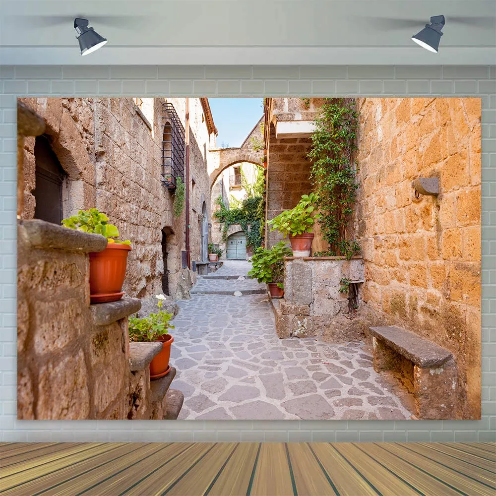 Old Alley Street Old Town Backdrop Spring Flowers Garden Photography Background Ancient City Travel Poster Party Decor Poster