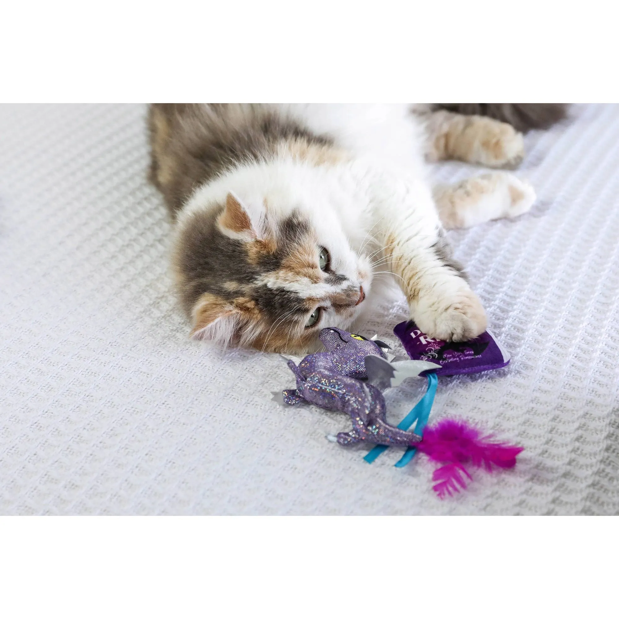 Quirky Fairy Tail Romance Plus - огляд і ціна Kids Quirky Toys