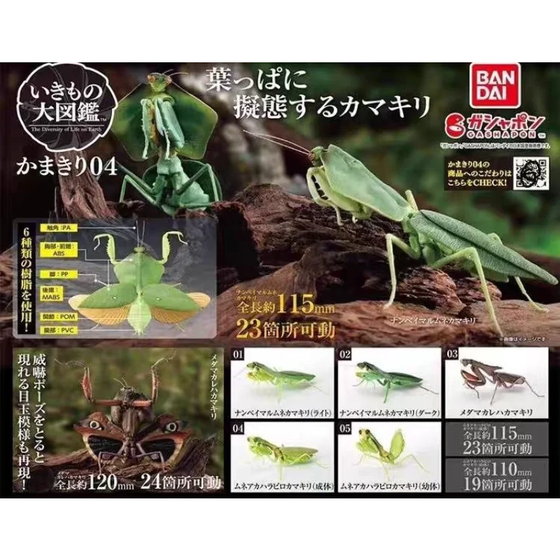 بانداي الأصلي غاشابون الموسوعة البيولوجية سلسلة 4 الميت ورقة السرعوف الحشرات الشكل-مجموعة أنيمي ، الصحراء التمويه علة