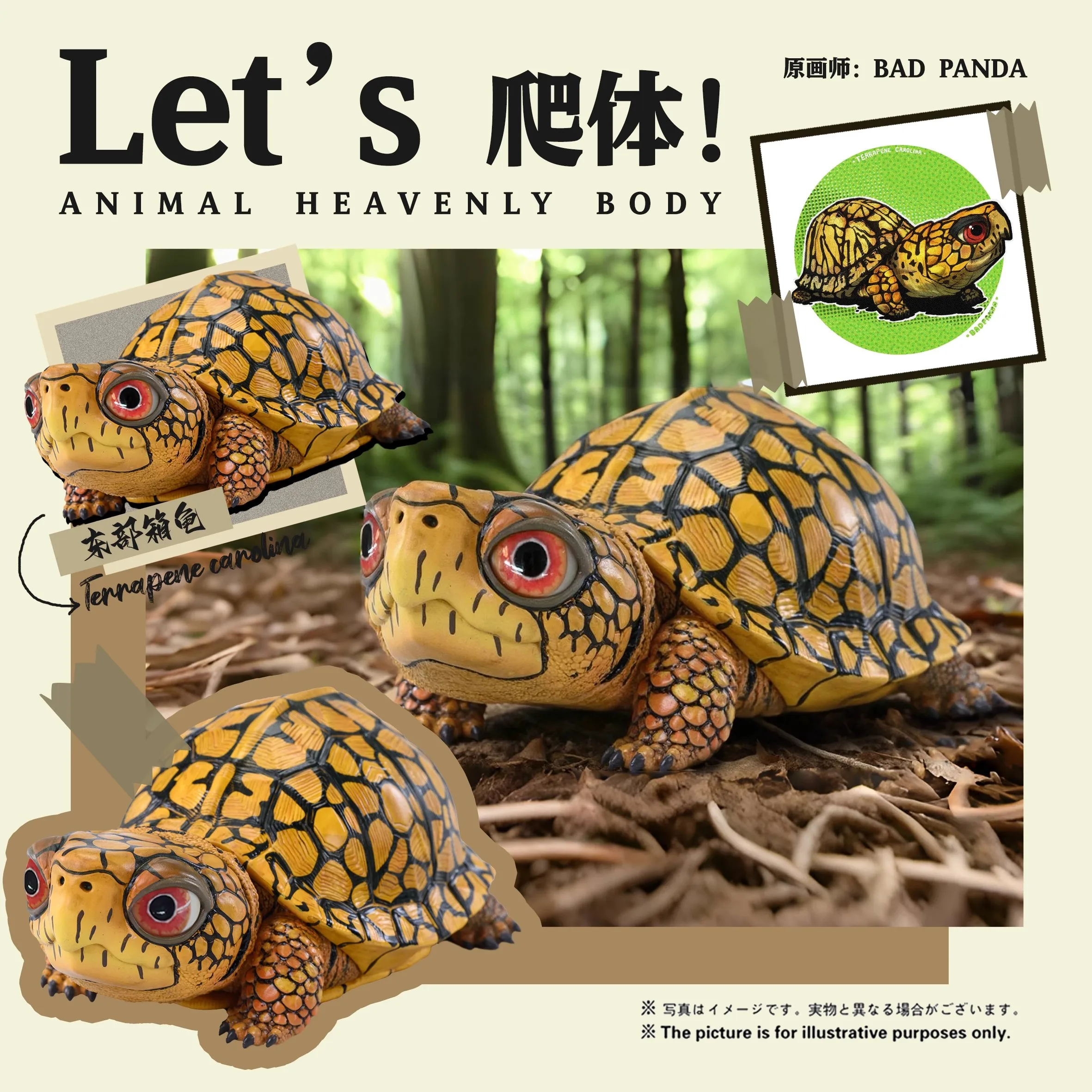 

Genuine Badpanda Let‘S Common Box Turtle "Climbing System" Series Anime Figure Model
