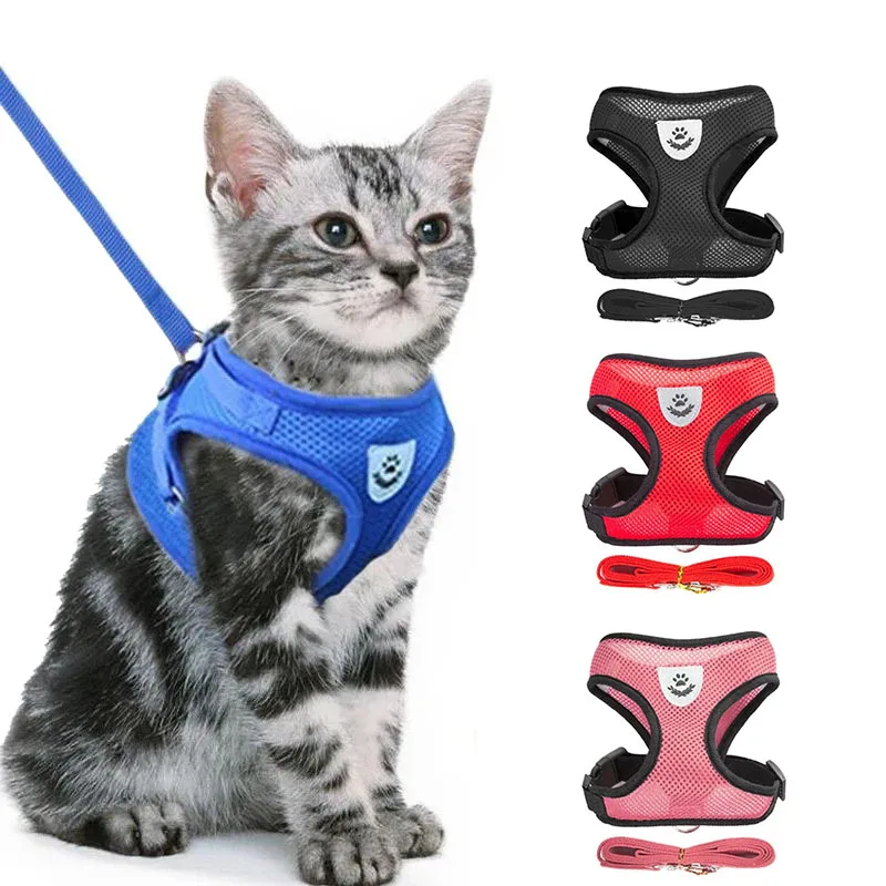 #41 Best Dog Leads to Buy In 2026