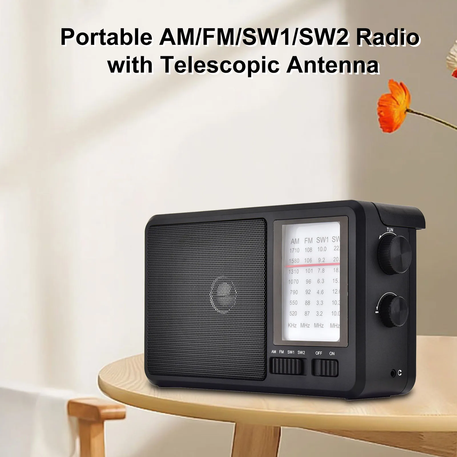 Portable AM/FM/SW1/…