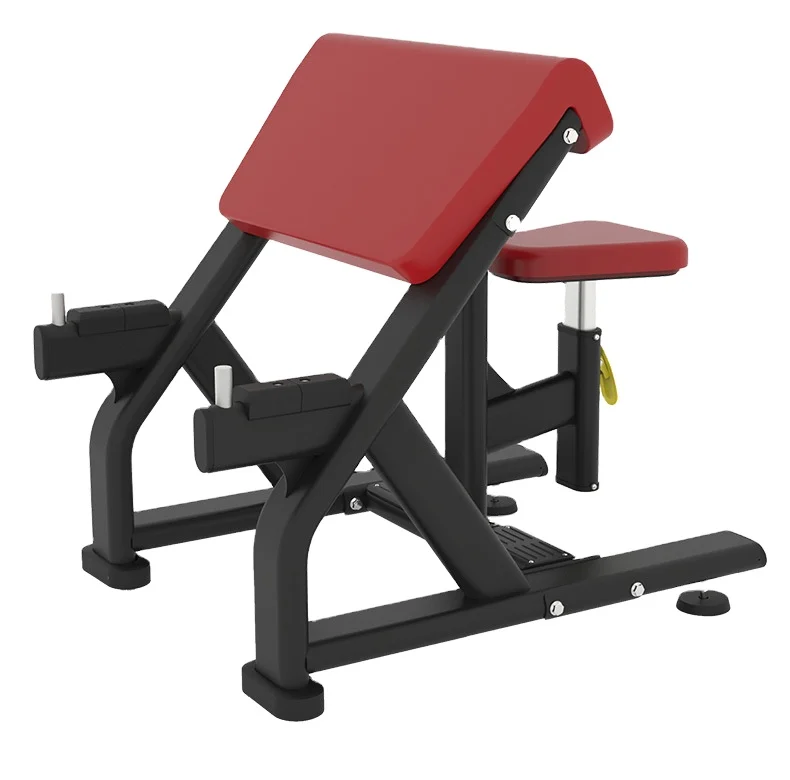 EMfitness 체육관 장비 프레스 치수, 이두근 컬 머신, 앉기 벤치 Best5 EMfitness 체육관 장비 프레스 치수, 이두근 컬 머신, 앉기 벤치 Best5