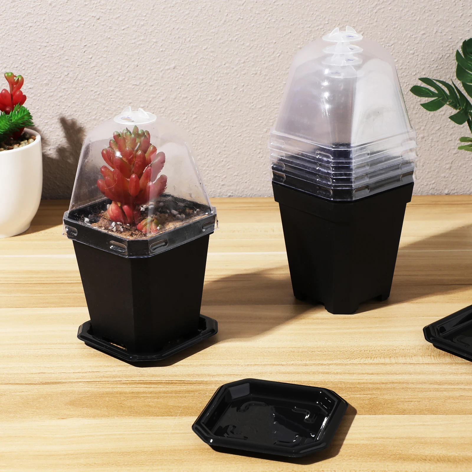 

5 Black Thickened Square Pots with Trays Lids for Nursery Seedling Planters Plastic Indoor Outdoor Garden Containers Pots With