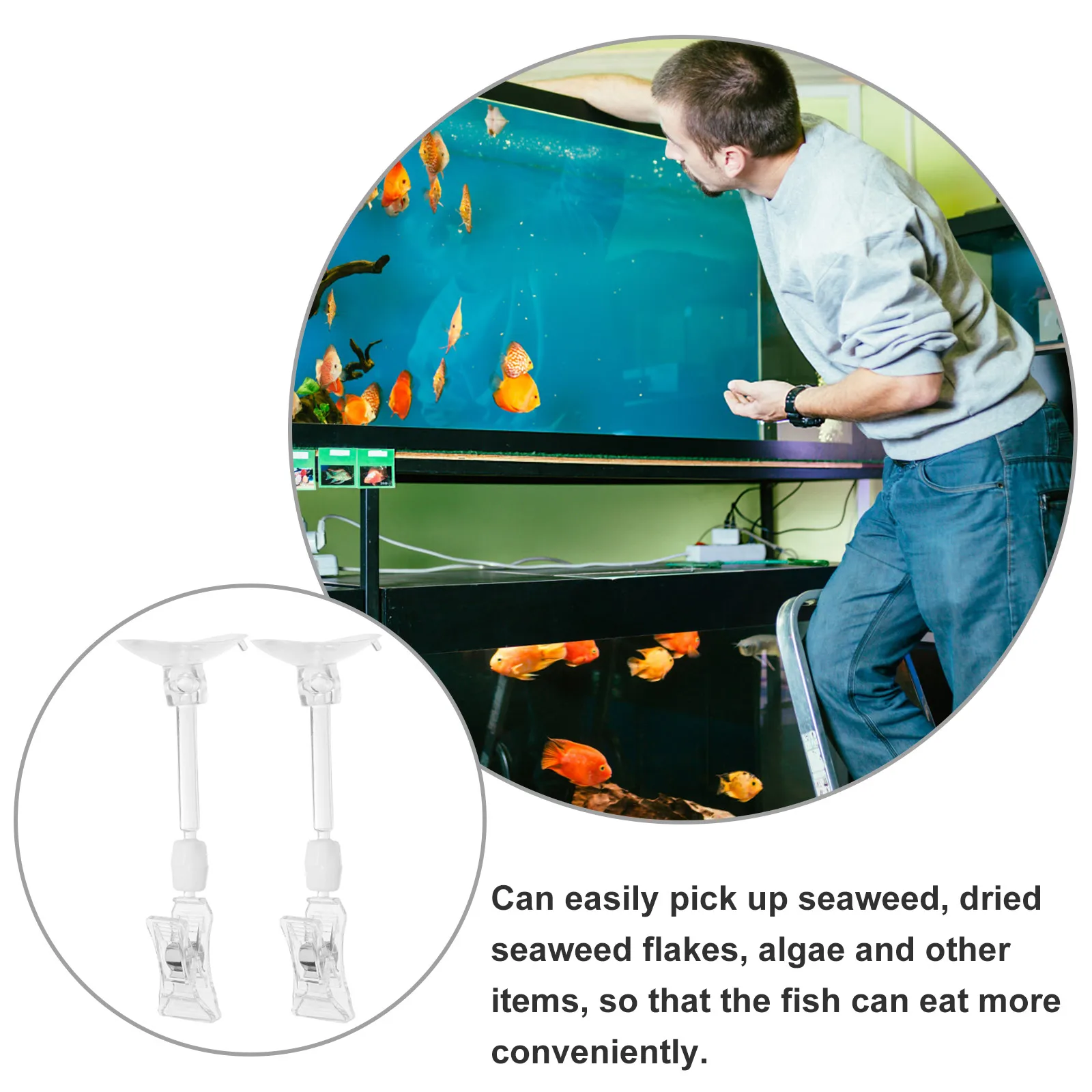 

6Pcs Fish Tank Suction Clips Feeding Clamp Plastic Aquarium Accessories Veggie Clip Tool Fish Feeding Tools Veggie Clamp