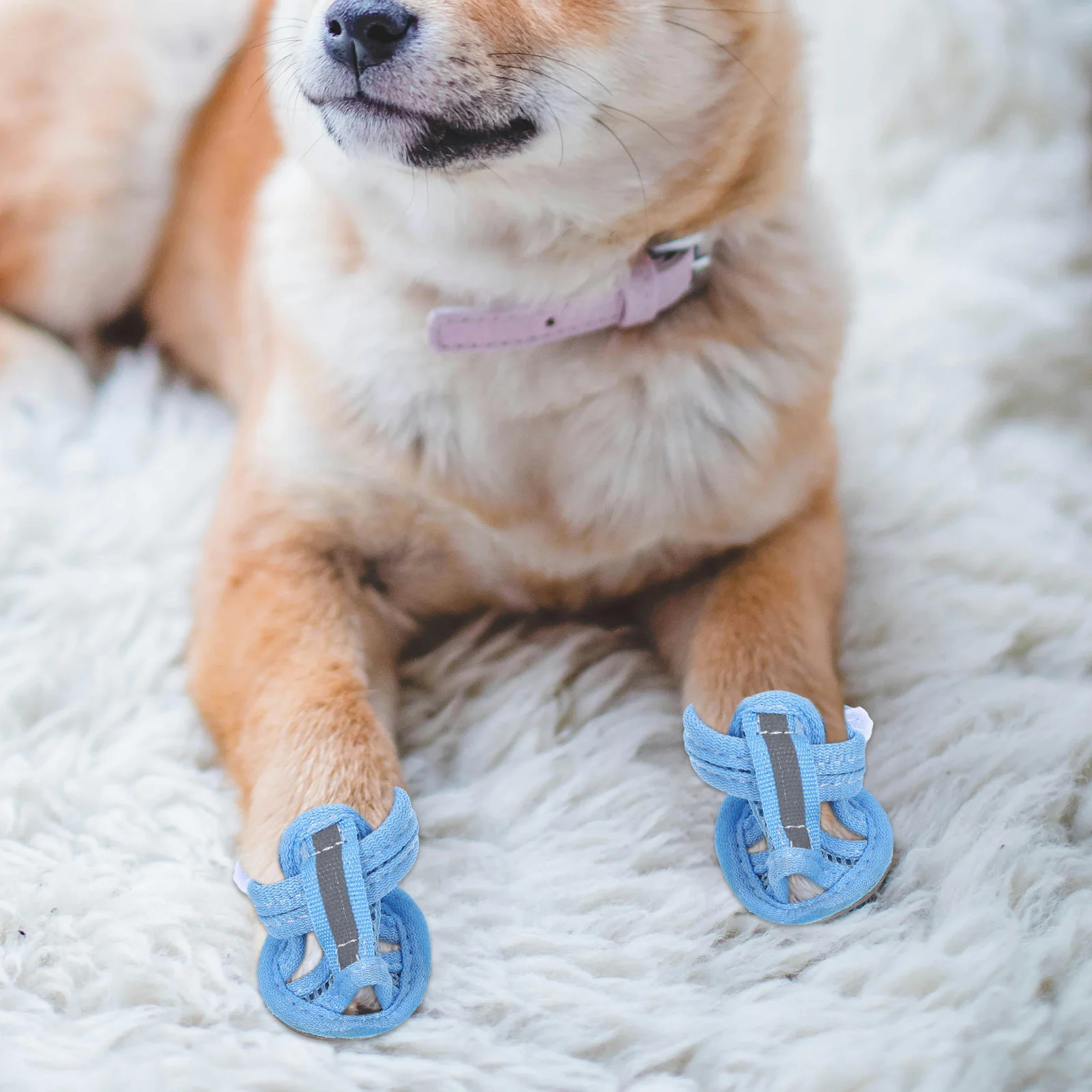 

4Pcs Dog Sandal Summer Mesh Pet Shoes Lightweight Non-Slip Puppy Footwear for Outdoor Walking on Sand Or Pavement - Blue Size 1