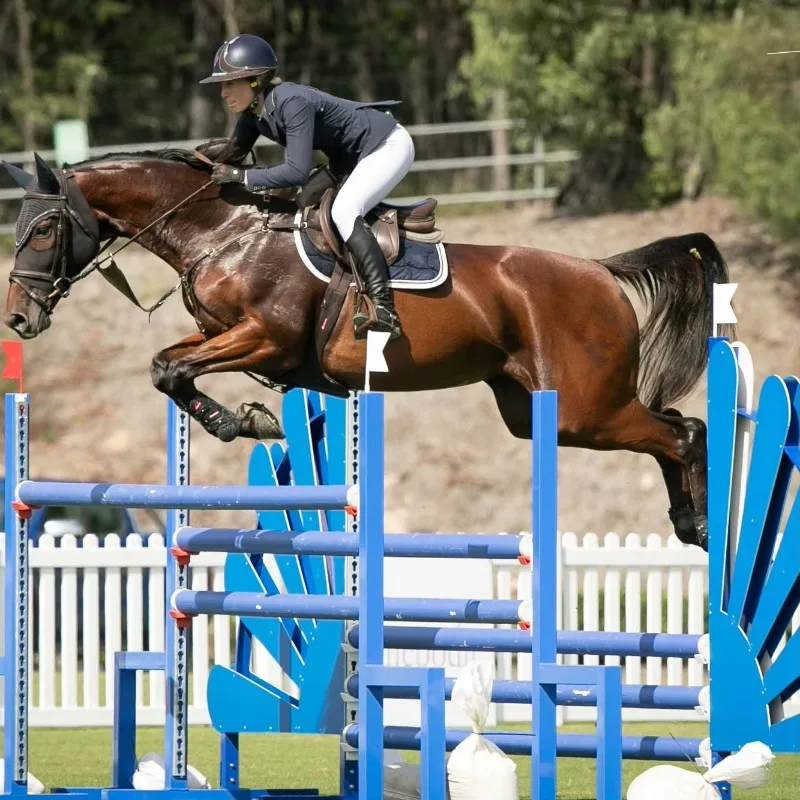 

Used PVC Aluminum Horse Jumps for Sale Western Type Show Jumping Equipment Horse Equipment for Riding