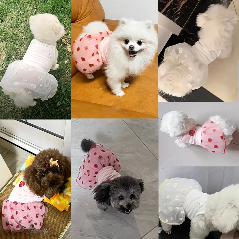 Dog Dress Cute Strawberry Daisy Pattern Skirt Puppy Princess Dresses Chihuahua Yorkie Sweet Skirts Summer Pet Clothes